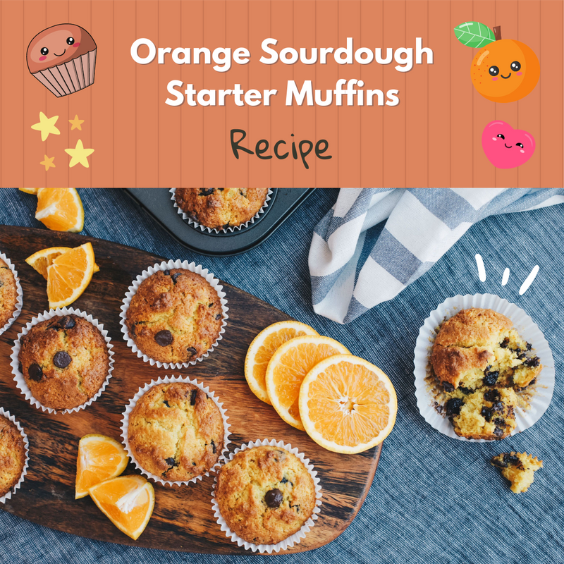 How to Make Orange Sourdough Starter Muffins with Plant-Based Egg Alternatives