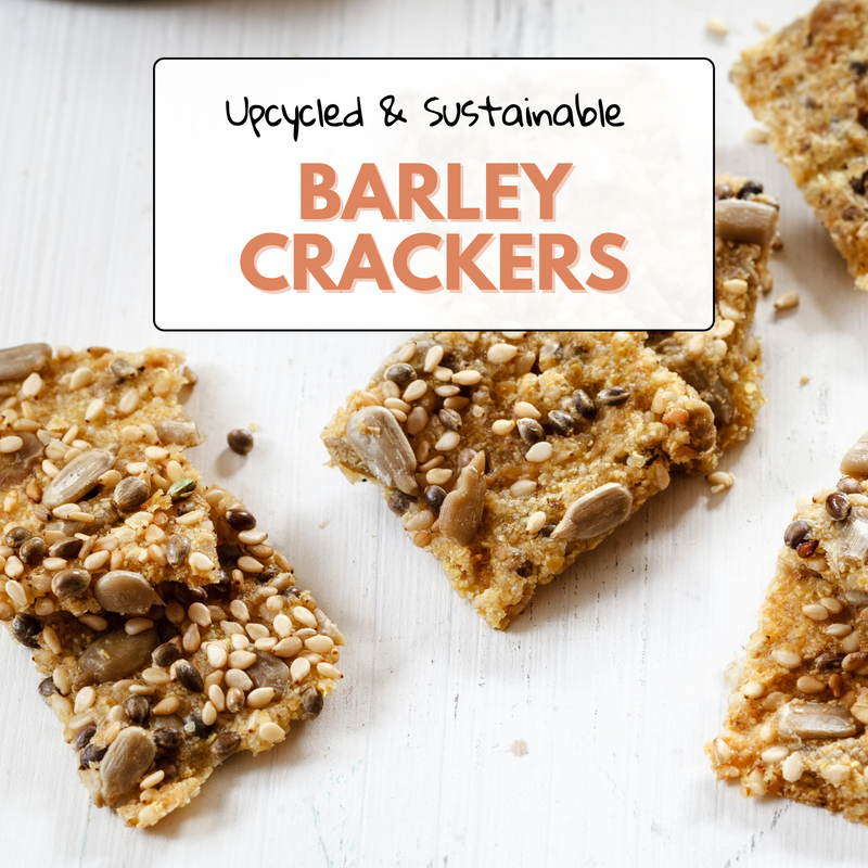 Homemade Upcycled Barley Flour Crackers